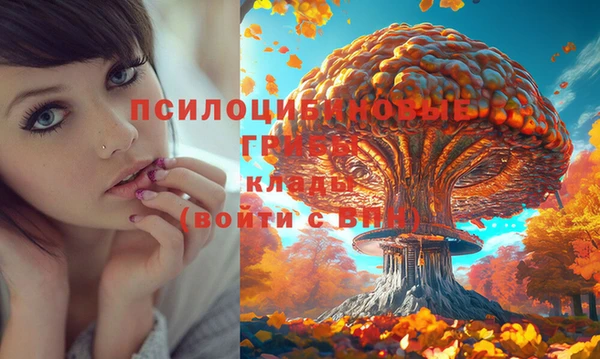 ГАЛЛЮЦИНОГЕННЫЕ ГРИБЫ Осинники