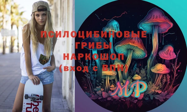 ГАЛЛЮЦИНОГЕННЫЕ ГРИБЫ Осинники