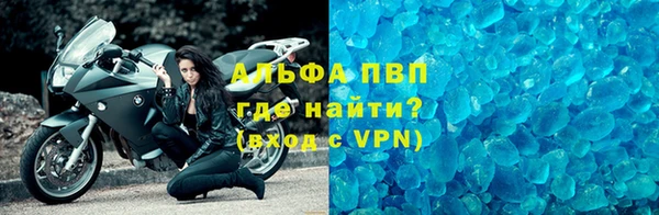 ГАЛЛЮЦИНОГЕННЫЕ ГРИБЫ Осинники