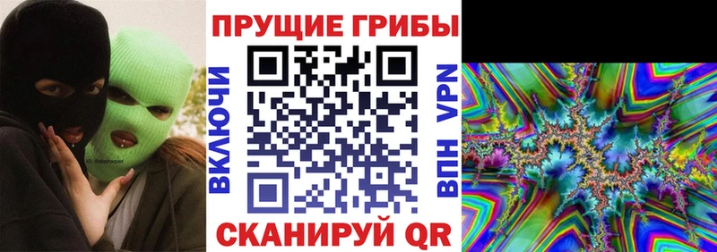 Галлюциногенные грибы GOLDEN TEACHER  купить   Трубчевск 